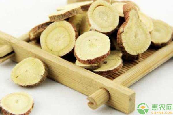 中草药甘草的种植技巧有哪些?这四大要点要注意-图片版权归惠农网所有