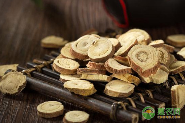 中药材甘草怎样培植？如何达到高产？-图片版权归惠农网所有