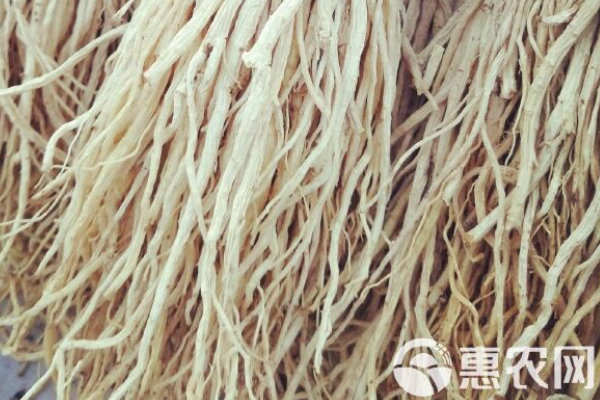 党参怎么种植?-图片版权归惠农网所有