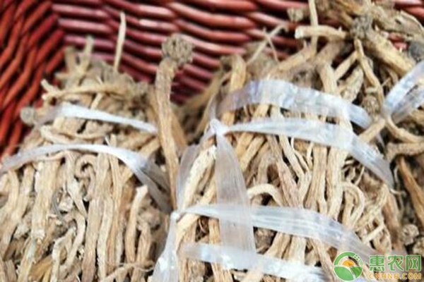 党参的种植方法和适应环境-图片版权归惠农网所有