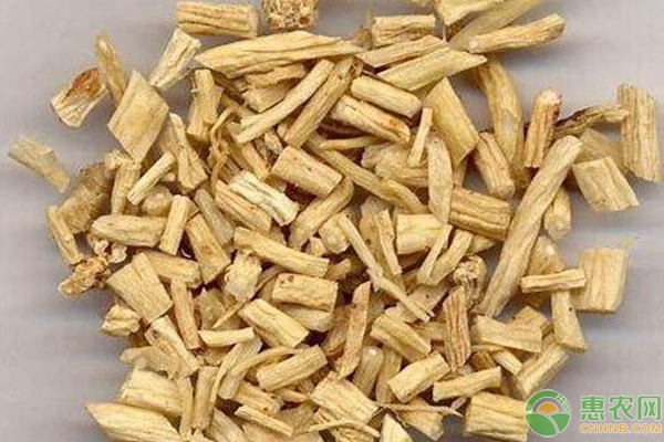 党参的种植方法和适应环境-图片版权归惠农网所有