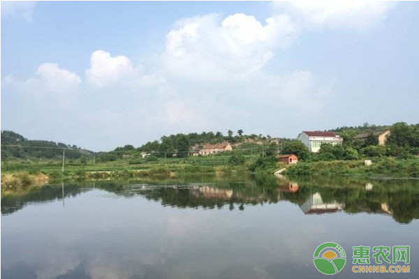 养殖小龙虾你必须get到的几点水产理论常识!-图片版权归惠农网所有