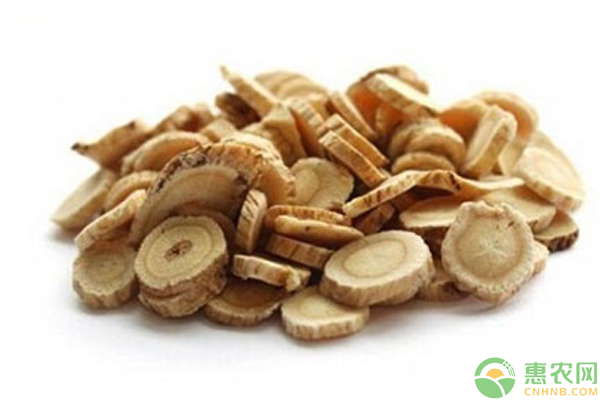 西洋参的功效与作用有哪些？