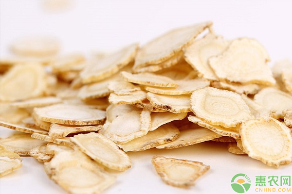 西洋参种植方法