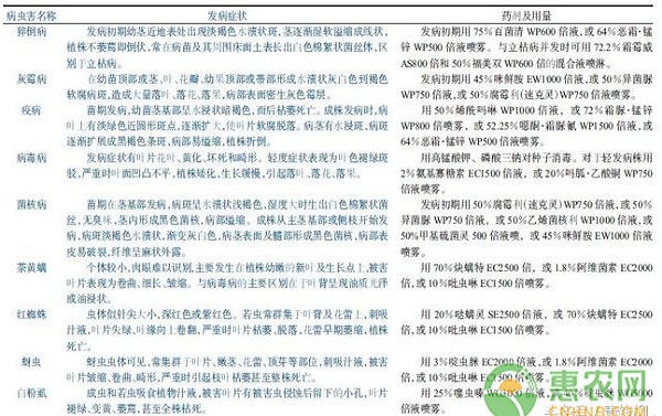 北方地区五彩椒标准化生产技术要点 北方地区五彩椒标准化生产技术要点