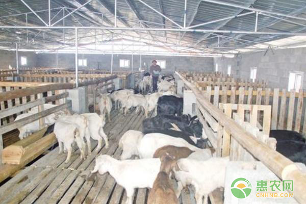 养殖场消毒误区 养殖场消毒误区
