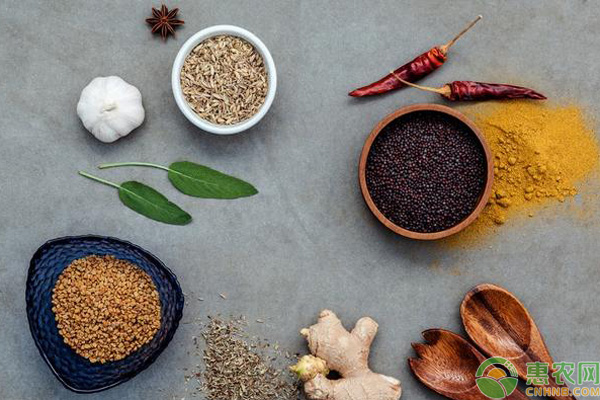 中药养鸡20种配方 养鸡技巧:老中医20味中药养鸡配方,养鸡户赶紧收藏!-图片版权归惠农网所有